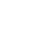 دليل silver shark